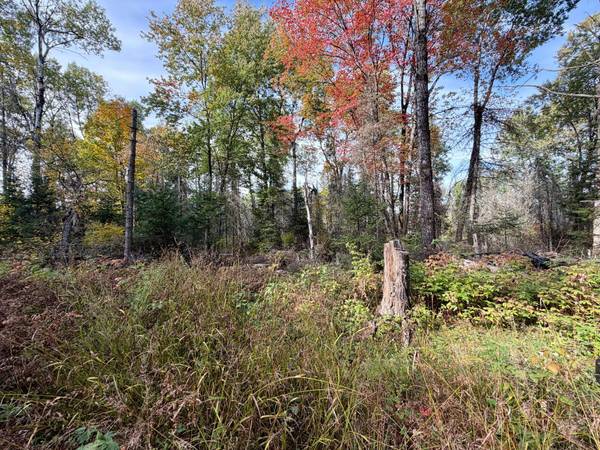 9403 CTH A, Alvin, WI 54542