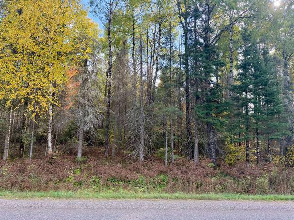 9403 CTH A, Alvin, WI 54542