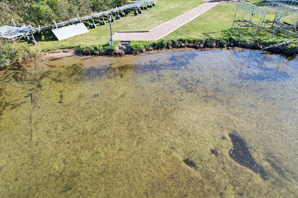 2952 A KERR LN, Phelps, WI 54554