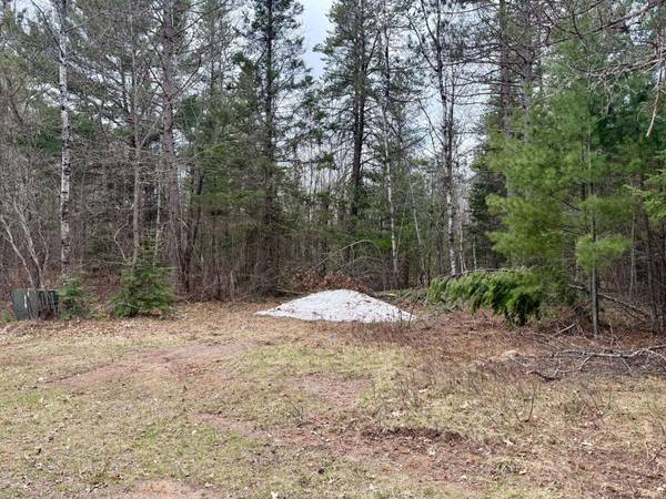 ON SNOWSHOE LN, Land O Lakes, WI 54540