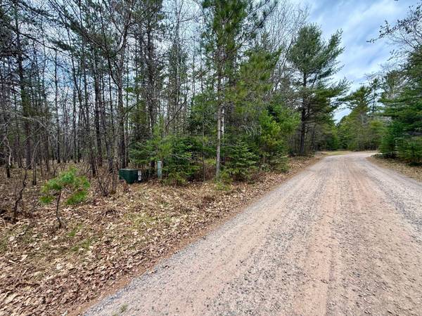 ON SNOWSHOE LN, Land O Lakes, WI 54540