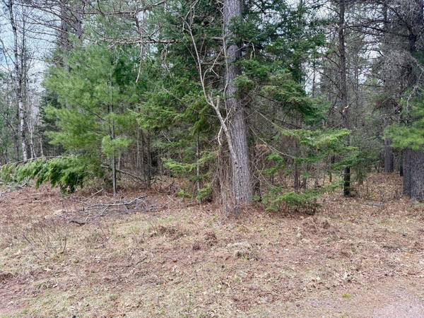 ON SNOWSHOE LN, Land O Lakes, WI 54540