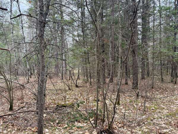 ON SNOWSHOE LN, Land O Lakes, WI 54540