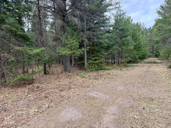ON SNOWSHOE LN, Land O Lakes, WI 54540