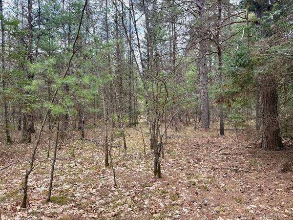 ON SNOWSHOE LN, Land O Lakes, WI 54540