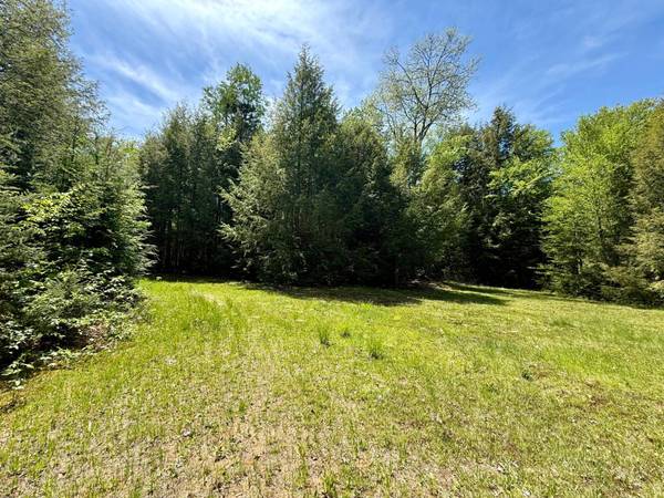 Lot 1 BRIGGS LN, Phelps, WI 54554