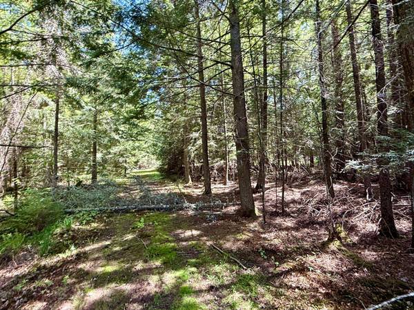 Lot 1 BRIGGS LN, Phelps, WI 54554