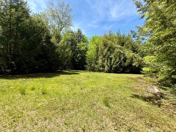 Lot 1 BRIGGS LN, Phelps, WI 54554