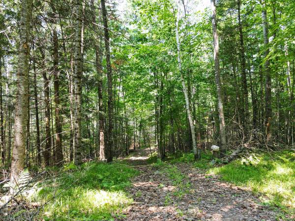 Lots 6-8 HUNTERS RIDGE RD, Phelps, WI 54554