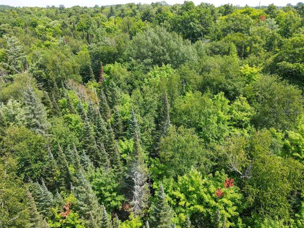 Lot 6 HWY 17, Phelps, WI 54554