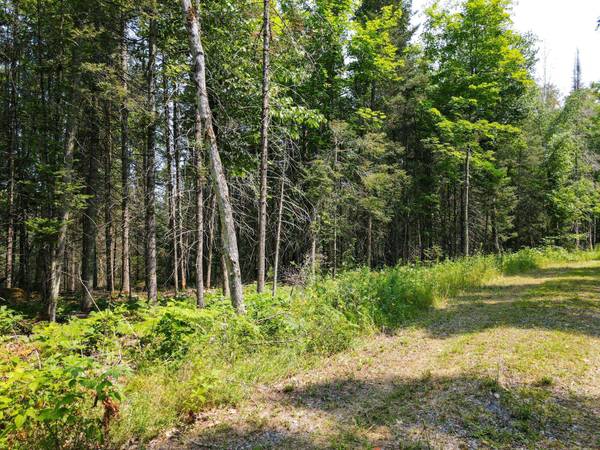 Lot 8 HUNTERS RIDGE RD, Phelps, WI 54554