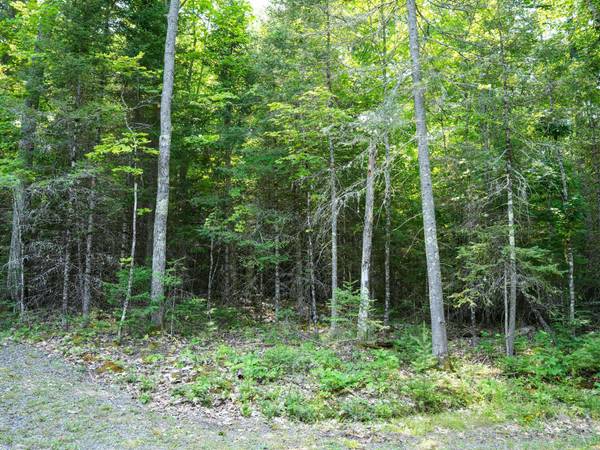 Lot 8 HUNTERS RIDGE RD