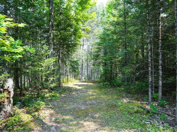 Lot 7 HUNTERS RIDGE RD, Phelps, WI 54554