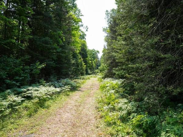 Lot 8 HUNTERS RIDGE RD, Phelps, WI 54554