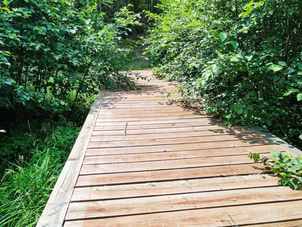 Lot 7 HUNTERS RIDGE RD, Phelps, WI 54554