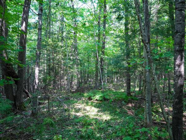 Lots 6-8 HUNTERS RIDGE RD, Phelps, WI 54554