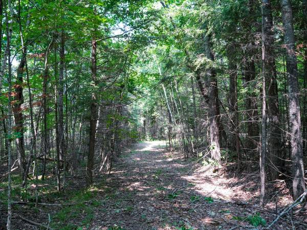 Lots 6-8 HUNTERS RIDGE RD, Phelps, WI 54554