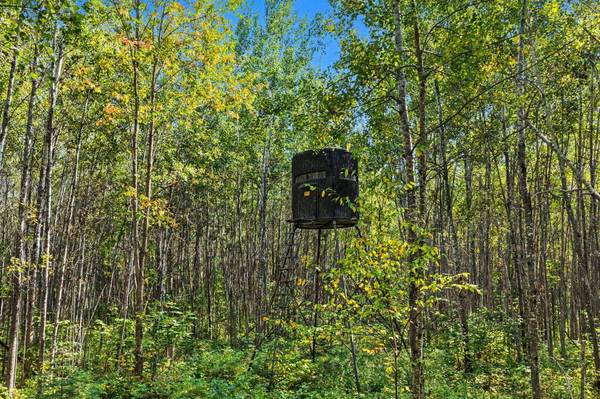 6455 HWY 70, Alvin, WI 54521