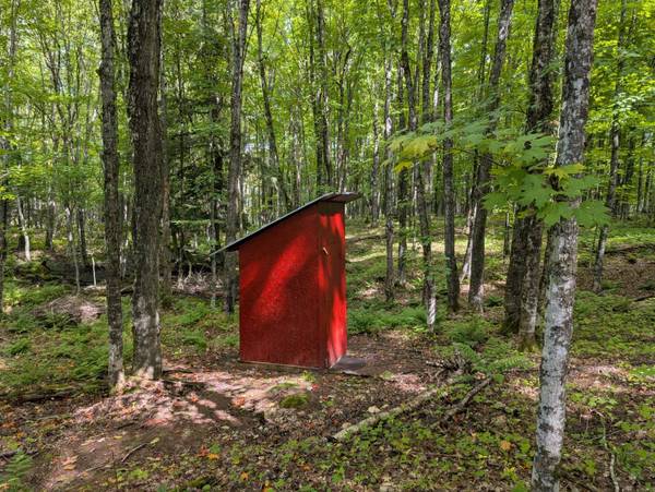 251 TAMARACK LAKE RD, Iron River, MI 49935