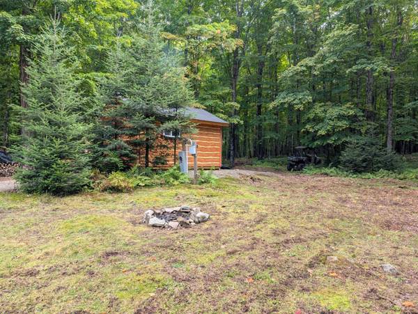 251 TAMARACK LAKE RD, Iron River, MI 49935