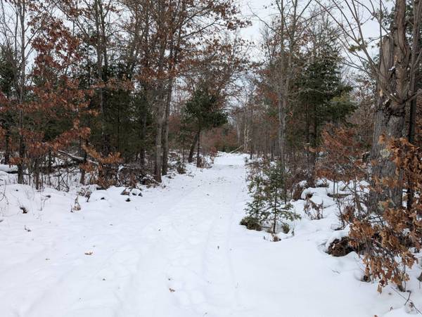 2681 BULLSEYE LN, Eagle River, WI 54521