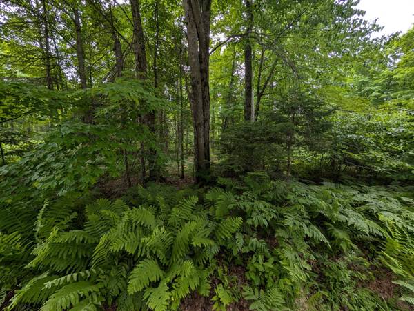 Lot 3 DAVIES RD, Phelps, WI 54554