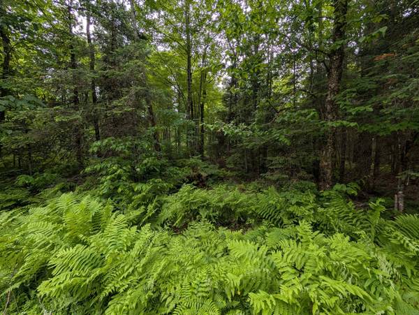 Lot 2 DAVIES RD, Phelps, WI 54554