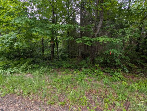 LOT 4 DAVIES RD, Phelps, WI 54554