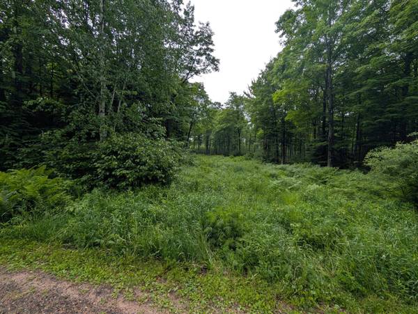 Lot 3 DAVIES RD, Phelps, WI 54554