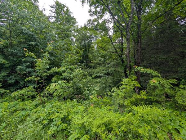 LOT 4 DAVIES RD, Phelps, WI 54554