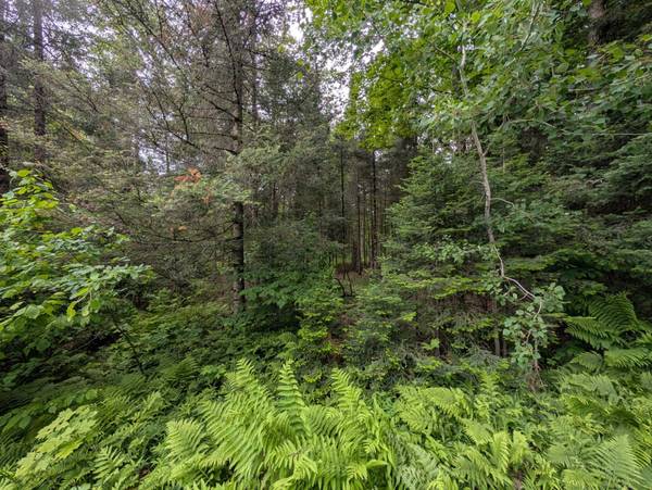 Lot 1 DAVIES RD, Phelps, WI 54554
