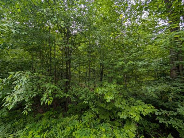 LOT 4 DAVIES RD, Phelps, WI 54554