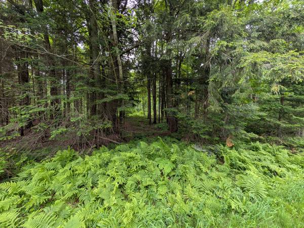 Lot 1 DAVIES RD, Phelps, WI 54554