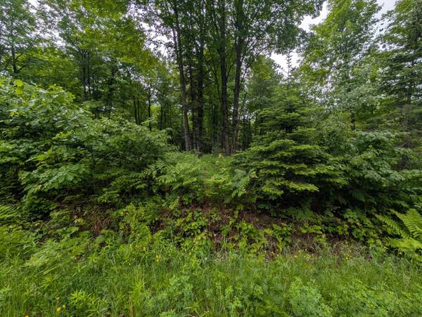 Lot 3 DAVIES RD, Phelps, WI 54554