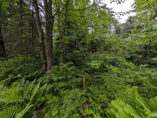 Lot 2 DAVIES RD, Phelps, WI 54554