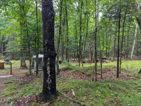 N2498 DUCK LAKE RD E, Watersmeet, MI 49969