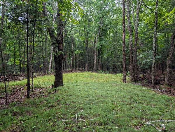N2498 DUCK LAKE RD E, Watersmeet, MI 49969