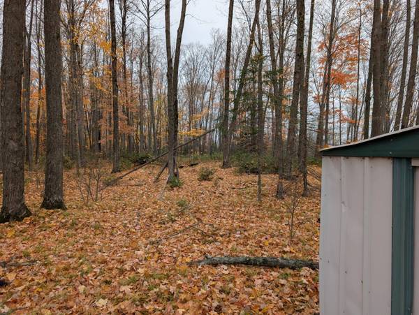 2514 E PELICAN HILLS TRL, Pelican Lake, WI 54463