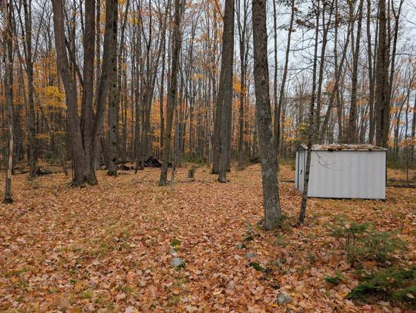 2514 E PELICAN HILLS TRL, Pelican Lake, WI 54463