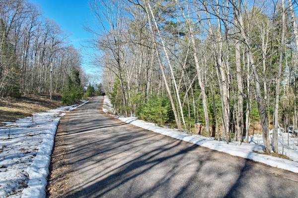 ON BOYGAN LAKE RD, Land O Lakes, WI 54540