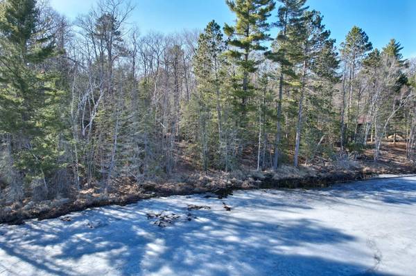 ON BOYGAN LAKE RD, Land O Lakes, WI 54540