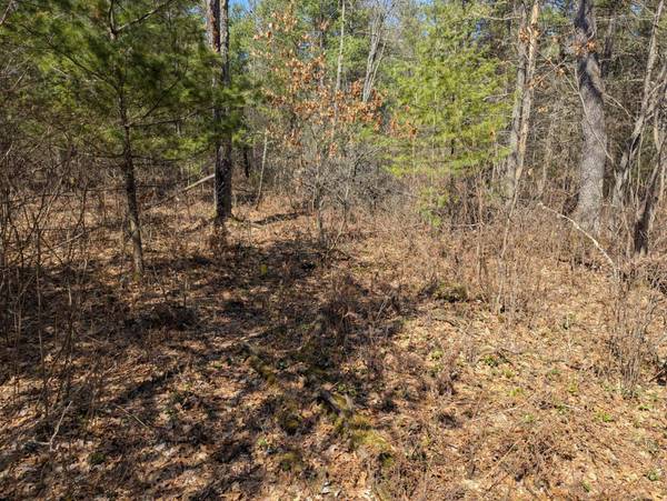 OFF HUNTER LAKE RD E, Conover, WI 54519