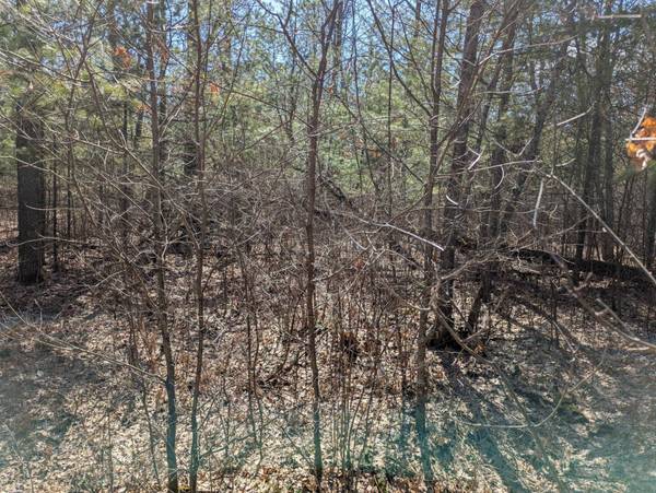 OFF HUNTER LAKE RD E, Conover, WI 54519