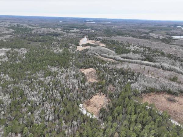 7685 OLD B RD, Land O Lakes, WI 54540