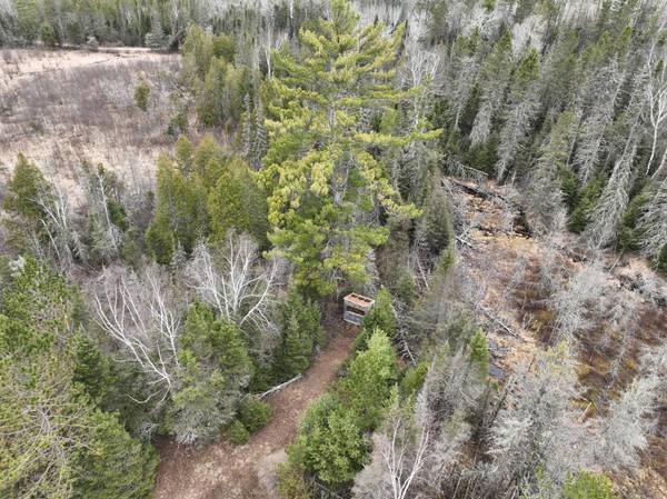 7685 OLD B RD, Land O Lakes, WI 54540