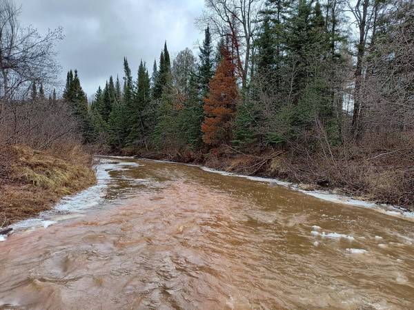 Off PETERSON RD, Bergland, MI 49910