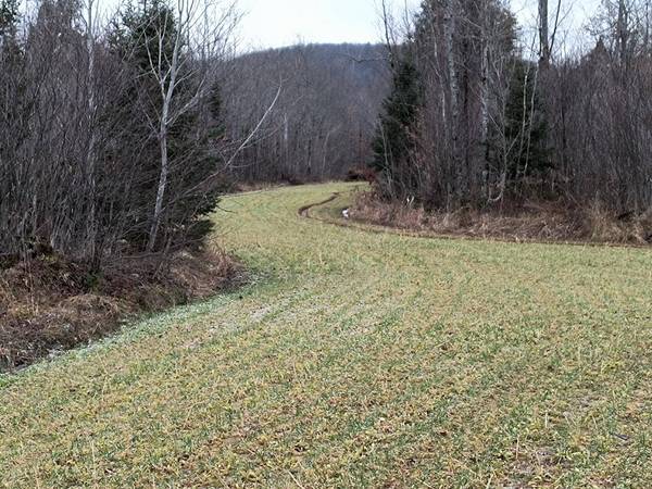 Off PETERSON RD, Bergland, MI 49910