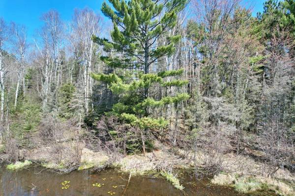 Off BALSAM LN, Eagle River, WI 54521