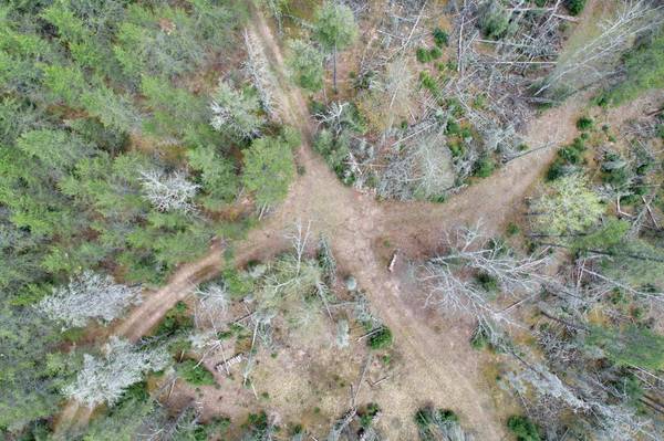 Off CTH G, St Germain, WI 54558