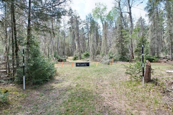 Off CTH G, St Germain, WI 54558